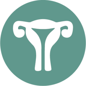 gynecology icon